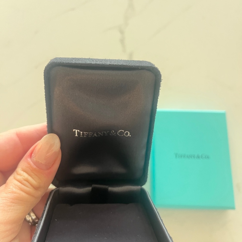 Tiffany & Co. Black Velvet Jewelry Box with Iconic Blue Box